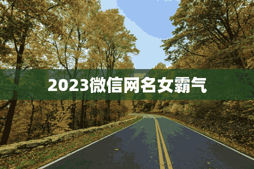 2023微信网名女霸气